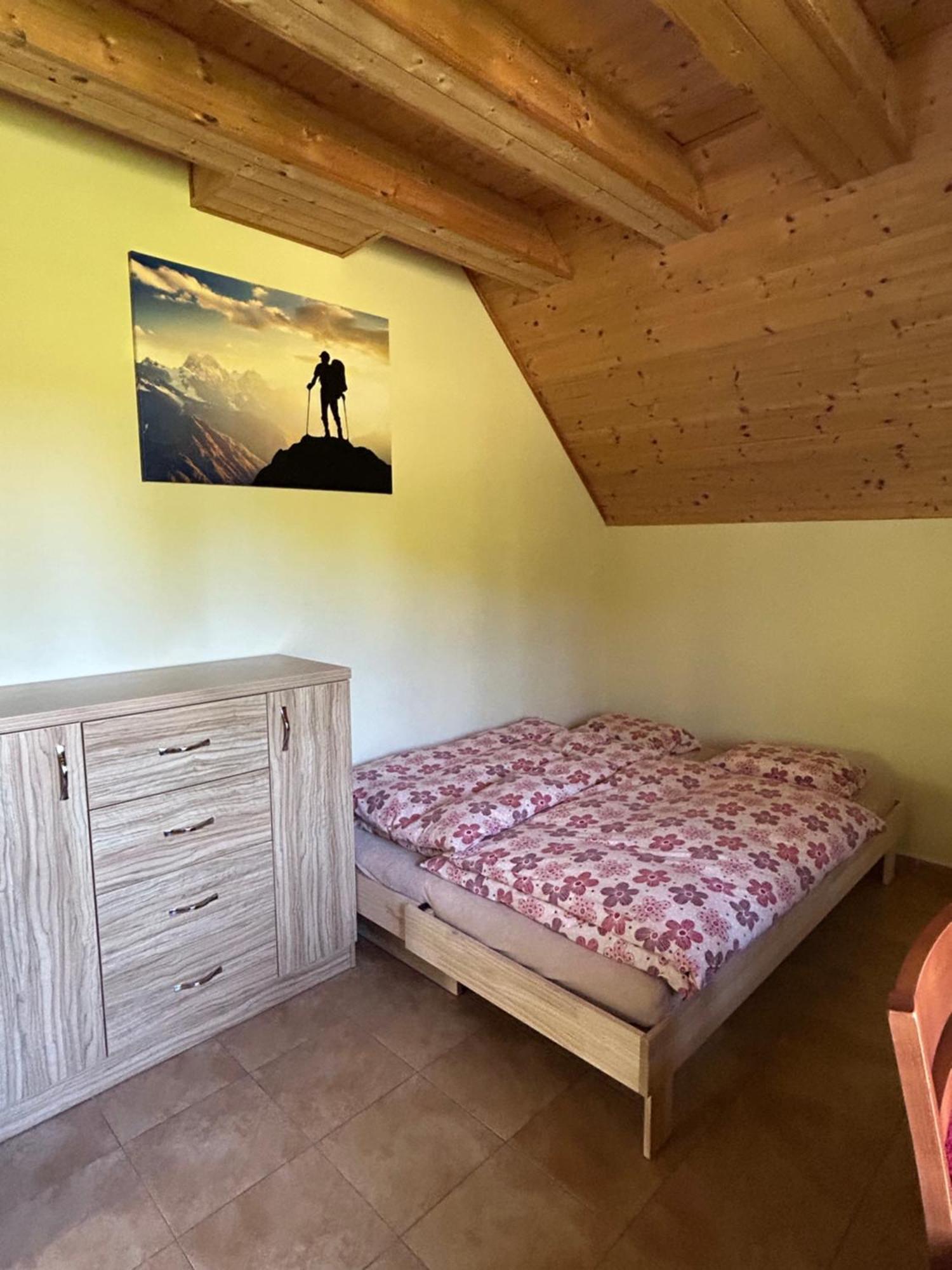 Apartmany F - Chata Svobodenka Dolni Moravice ภายนอก รูปภาพ